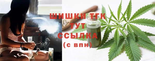 дмт Алексин