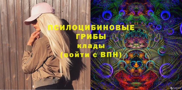 дмт Алексин