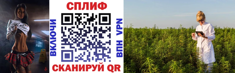 OMG маркетплейс  Краснообск  Каннабис тримм 